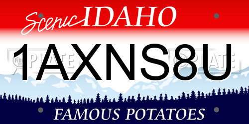 1AXNS8U Idaho License Plate