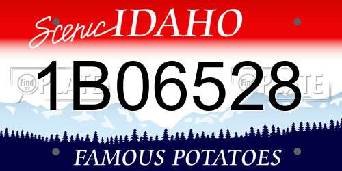 1B06528 Idaho License Plate