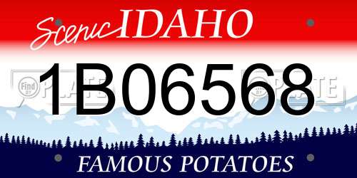 1B06568 Idaho License Plate