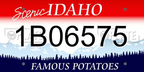1B06575 Idaho License Plate