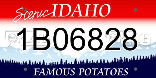 1B06828 Idaho License Plate