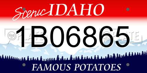1B06865 Idaho License Plate