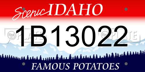 1B13022 Idaho License Plate