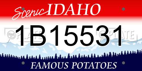 1B15531 Idaho License Plate