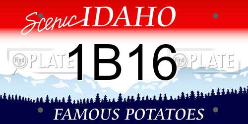 1B16 Idaho License Plate