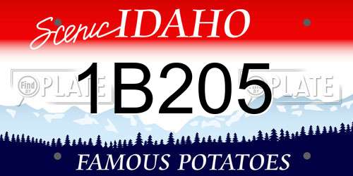 1B205 Idaho License Plate