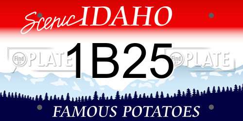 1B25 Idaho License Plate