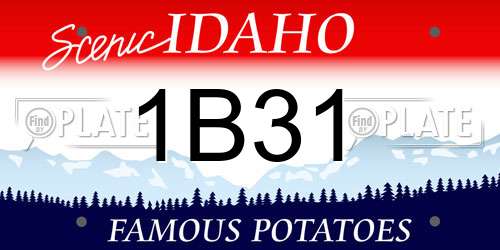 1B31 Idaho License Plate