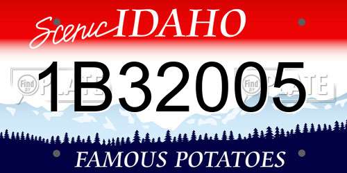 1B32005 Idaho License Plate