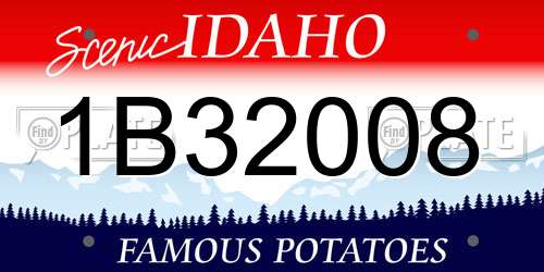 1B32008 Idaho License Plate