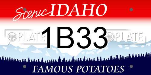 1B33 Idaho License Plate