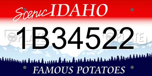 1B34522 Idaho License Plate