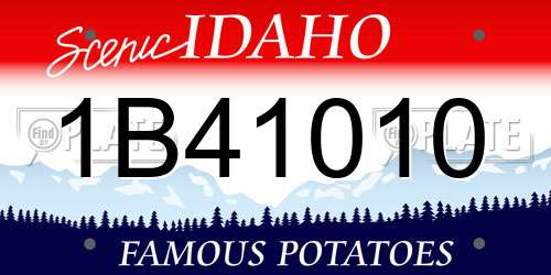 1B41010 Idaho License Plate