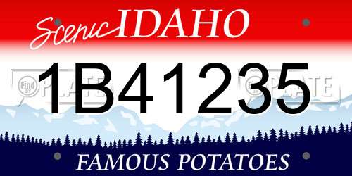 1B41235 Idaho License Plate