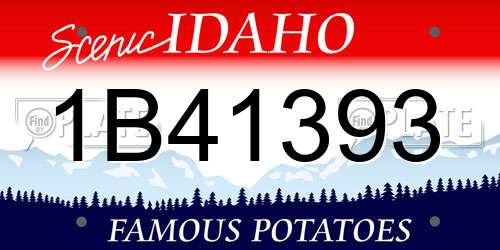 1B41393 Idaho License Plate