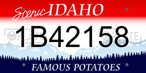 1B42158 Idaho License Plate