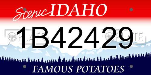 1B42429 Idaho License Plate