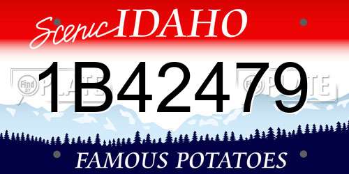 1B42479 Idaho License Plate