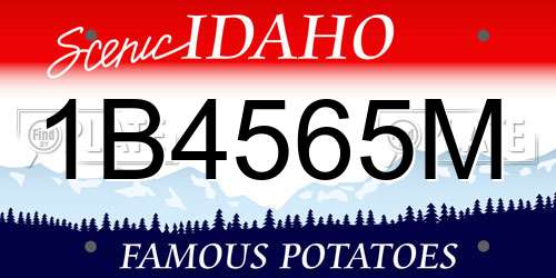 1B4565M Idaho License Plate