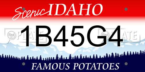 1B45G4 Idaho License Plate