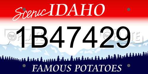 1B47429 Idaho License Plate