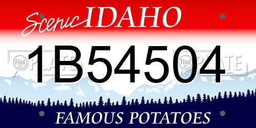1B54504 Idaho License Plate