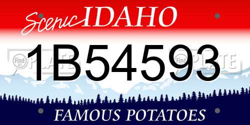 1B54593 Idaho License Plate
