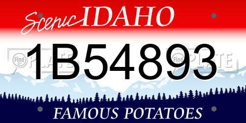 1B54893 Idaho License Plate