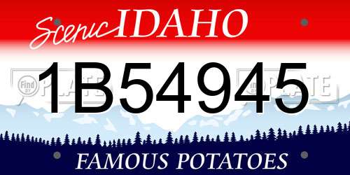1B54945 Idaho License Plate