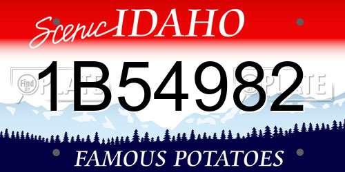 1B54982 Idaho License Plate