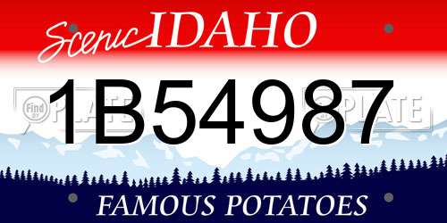 1B54987 Idaho License Plate