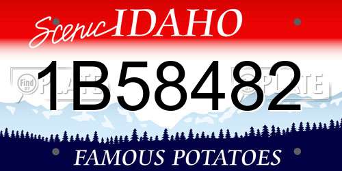 1B58482 Idaho License Plate