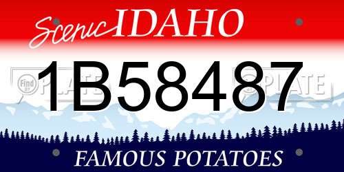 1B58487 Idaho License Plate