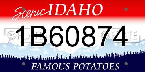 1B60874 Idaho License Plate