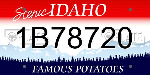 1B78720 Idaho License Plate