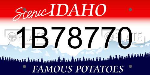 1B78770 Idaho License Plate