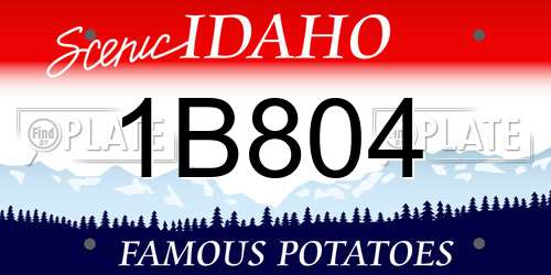 1B804 Idaho License Plate