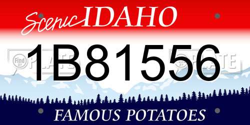 1B81556 Idaho License Plate