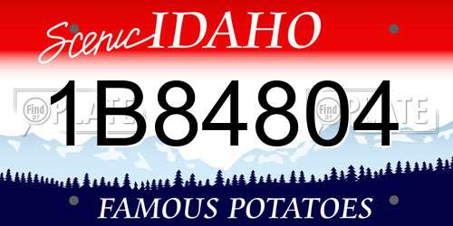 1B84804 Idaho License Plate