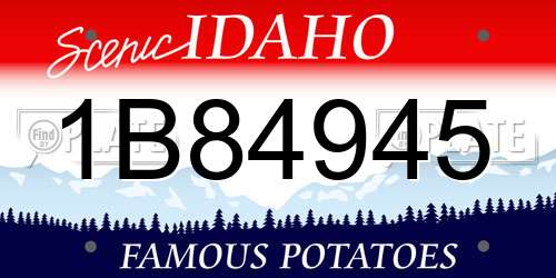 1B84945 Idaho License Plate