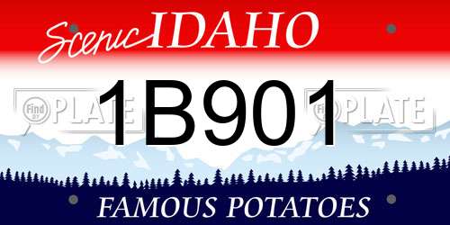 1B901 Idaho License Plate