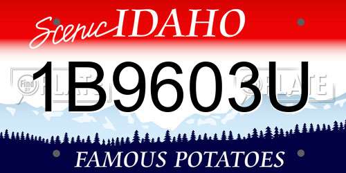 1B9603U Idaho License Plate