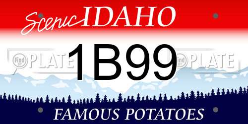 1B99 Idaho License Plate