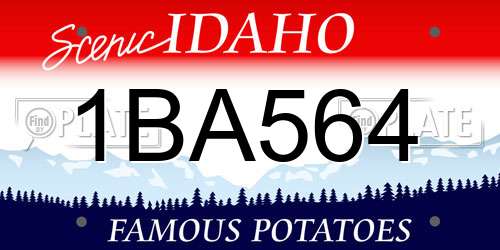 1BA564 Idaho License Plate