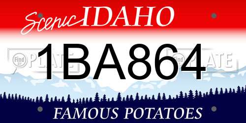 1BA864 Idaho License Plate