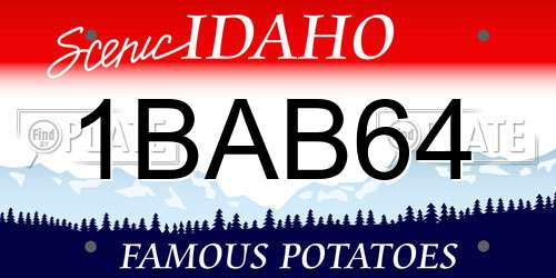 1BAB64 Idaho License Plate