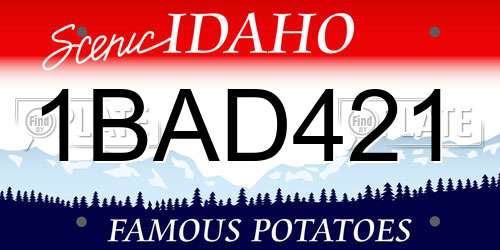 1BAD421 Idaho License Plate
