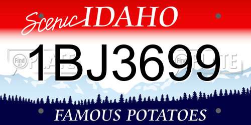 1BJ3699 Idaho License Plate