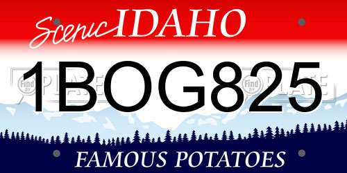 1BOG825 Idaho License Plate