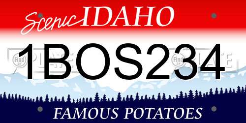 1BOS234 Idaho License Plate